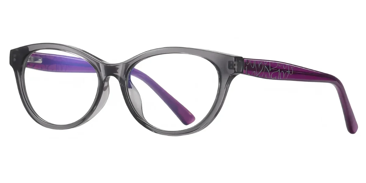Eras Grey Glasses 1