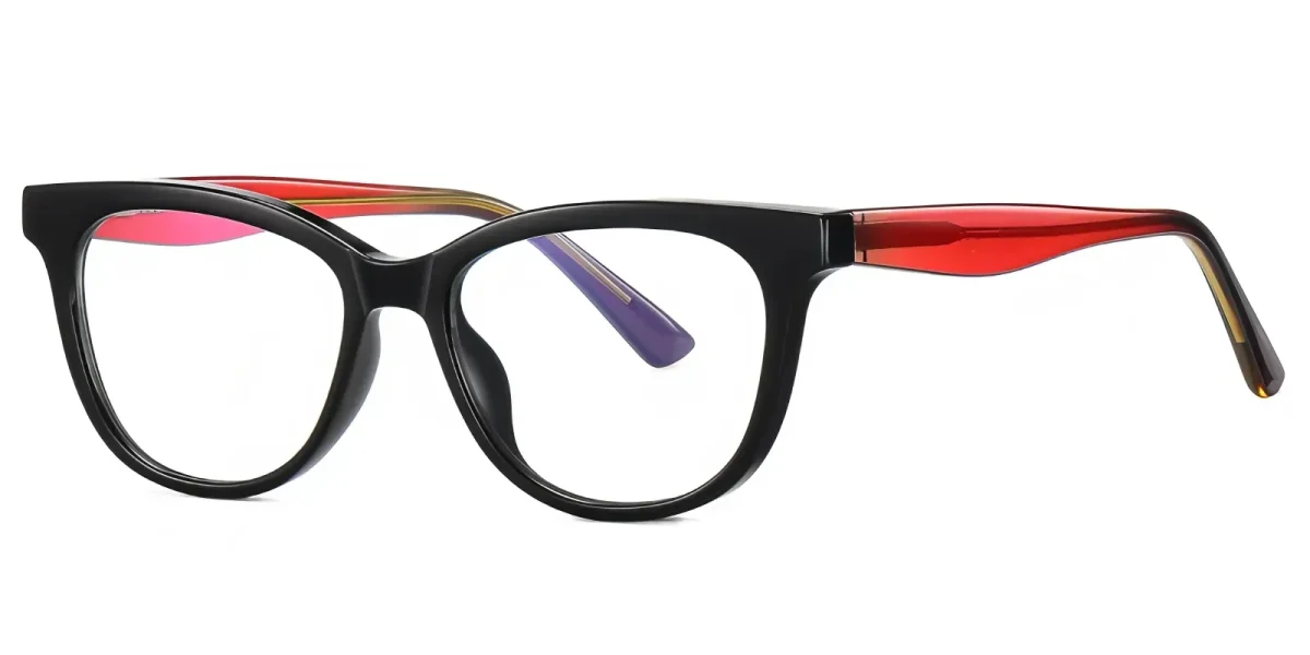 Raytina Black Glasses 1
