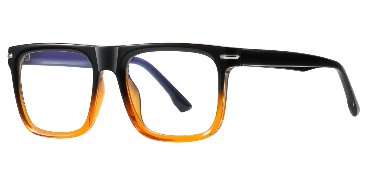 PF2202 Black-Brown Glasses 1