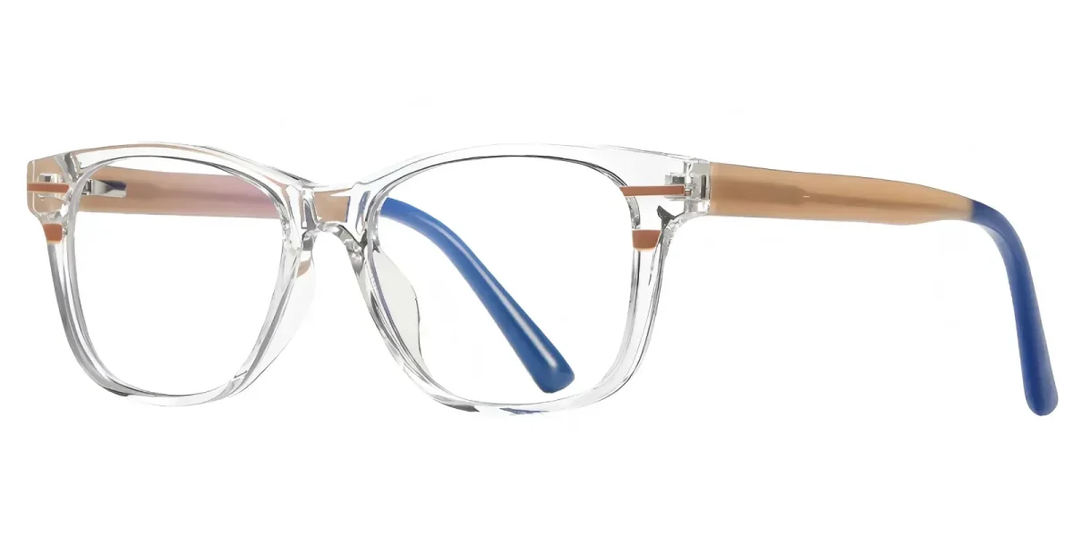 Indira Transparent Glasses 1