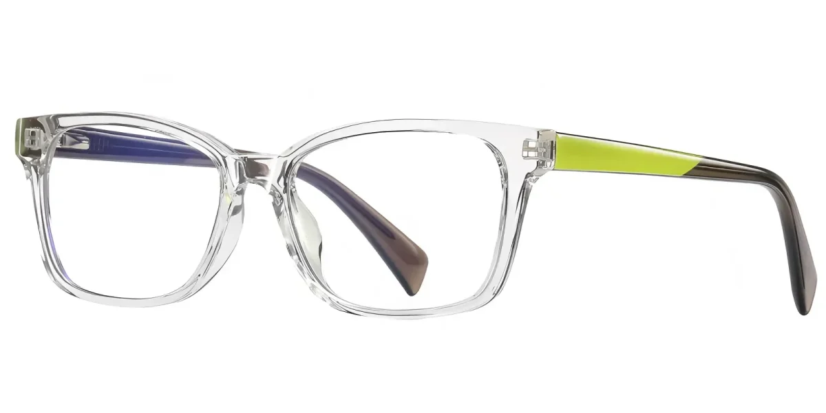Fenn Transparent Glasses 1