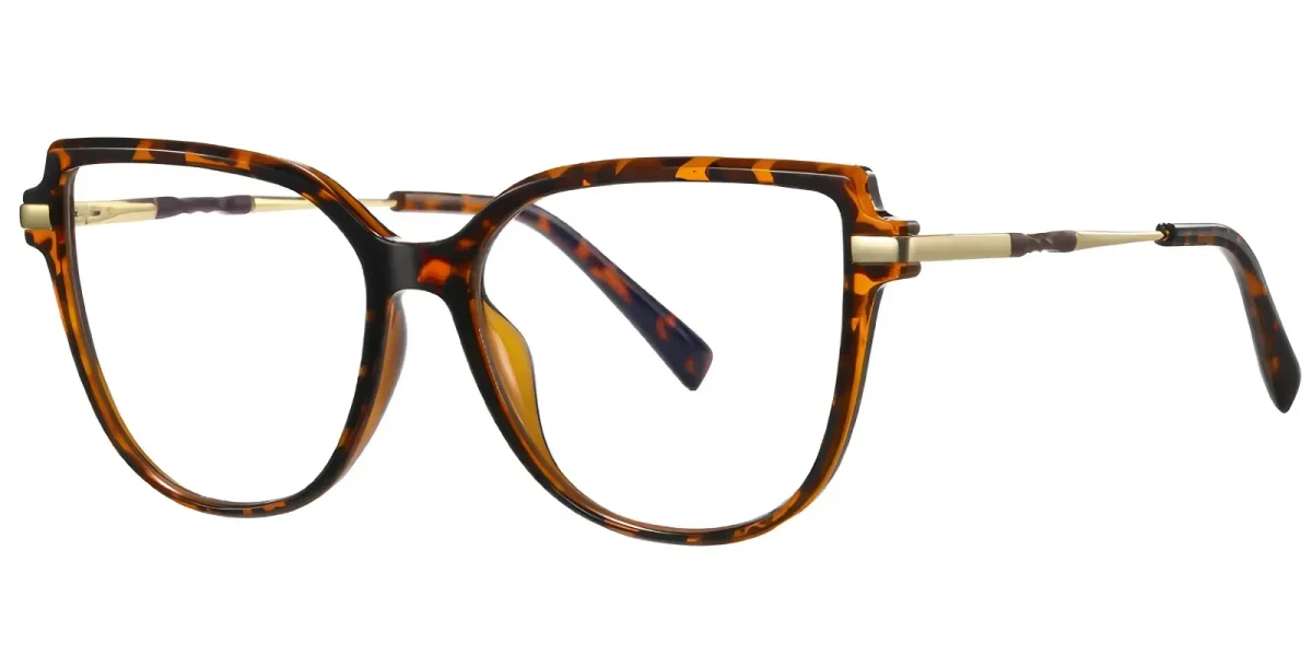 PF2210 Hawksbill Glasses 1