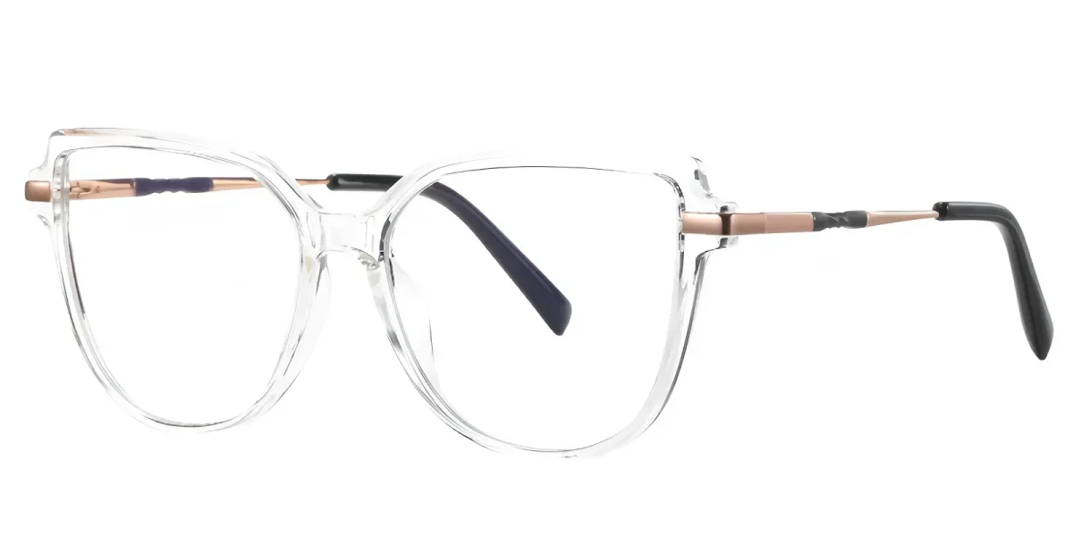 PF2210 Transparent Glasses 1