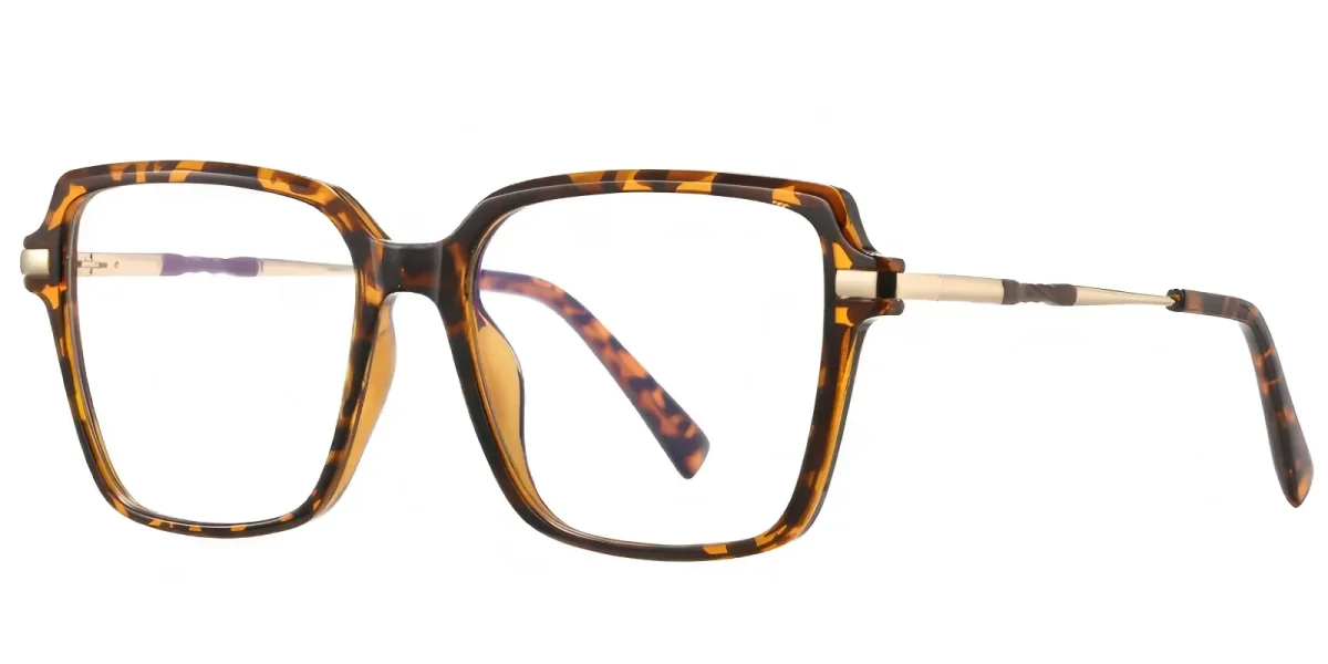 PF2212 Hawksbill Glasses 1
