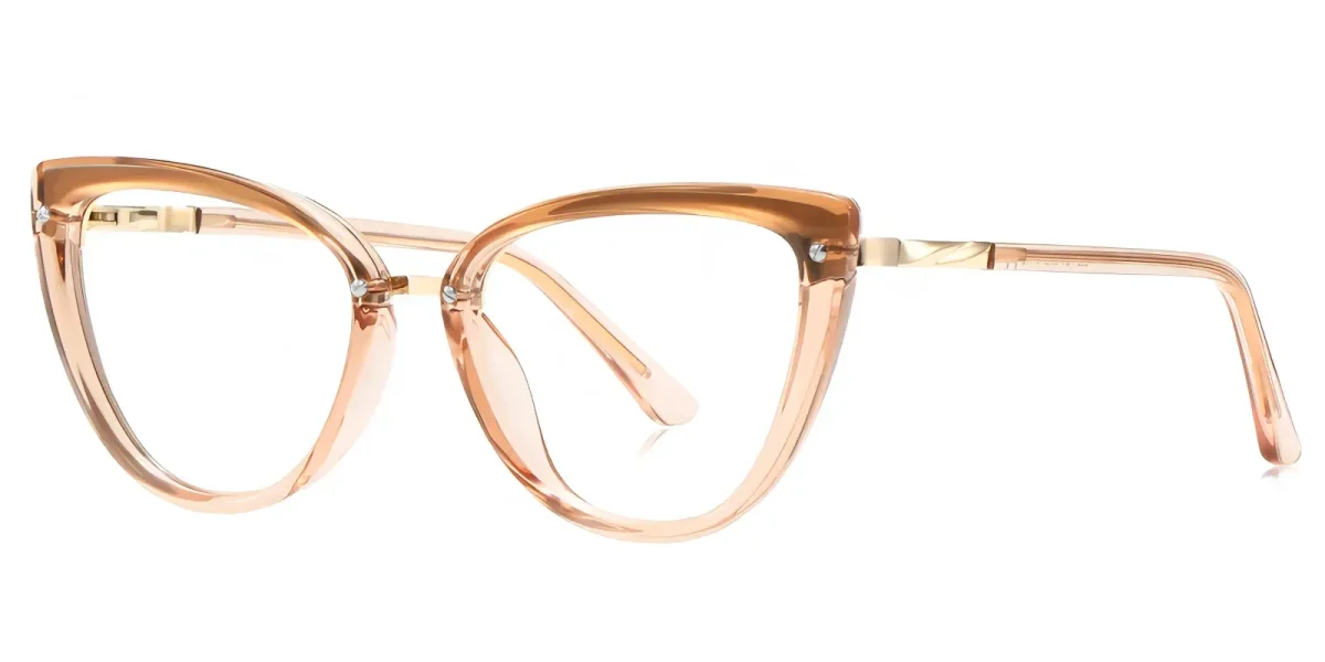 PF2221 Brown Glasses 1