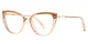 PF2221 Brown Glasses 1