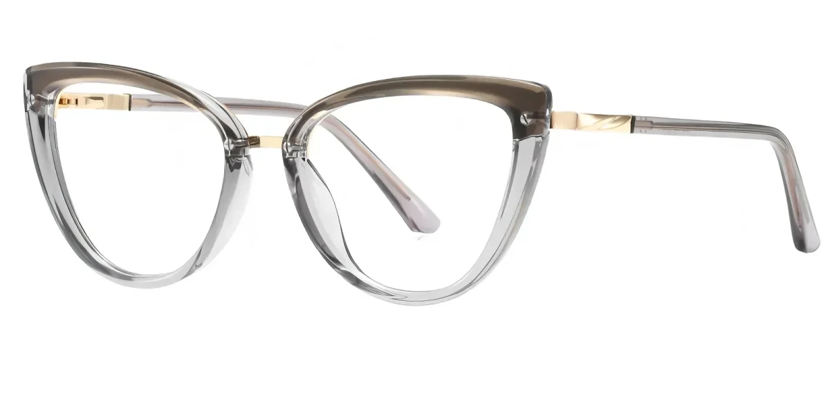 PF2221 Grey Glasses 1