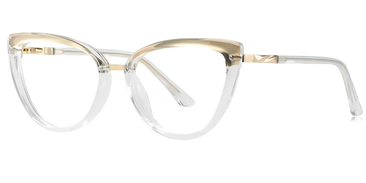 PF2221 Transparent Glasses 1