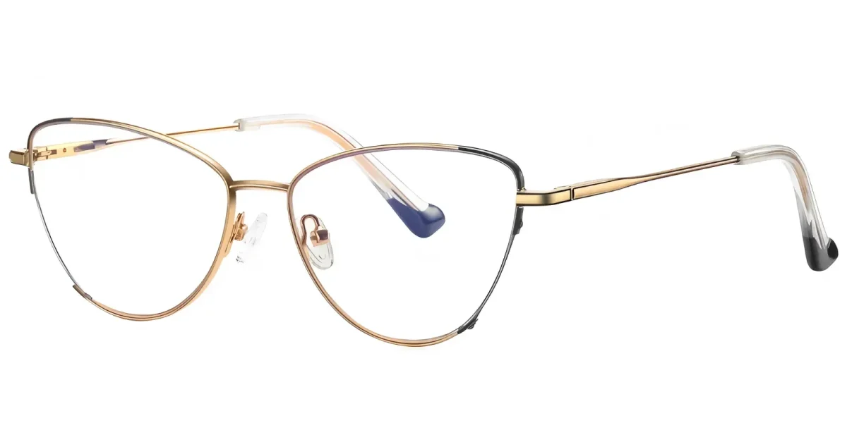 PF3030 Gold-Black Glasses 1