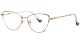 PF3030 Gold-Black Glasses 1