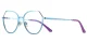 PF3034 Blue-Purple-Pink Glasses 1