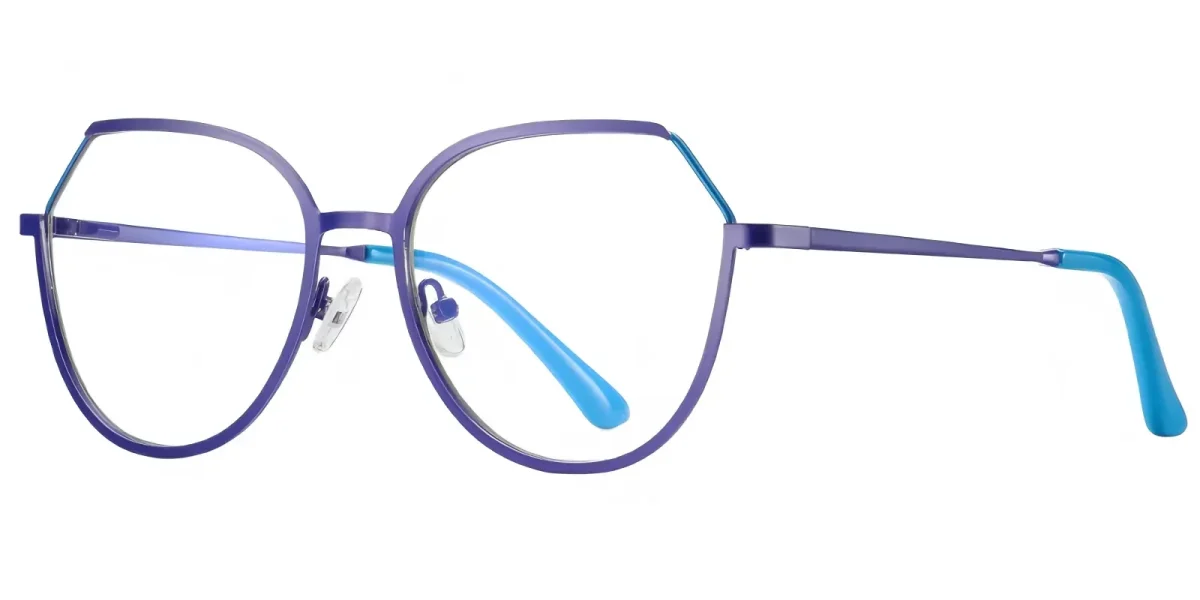 PF3034 Purple-Blue Glasses 1