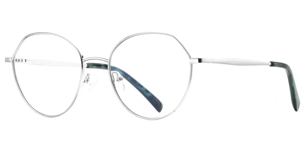 PF3050 Silver Glasses 1