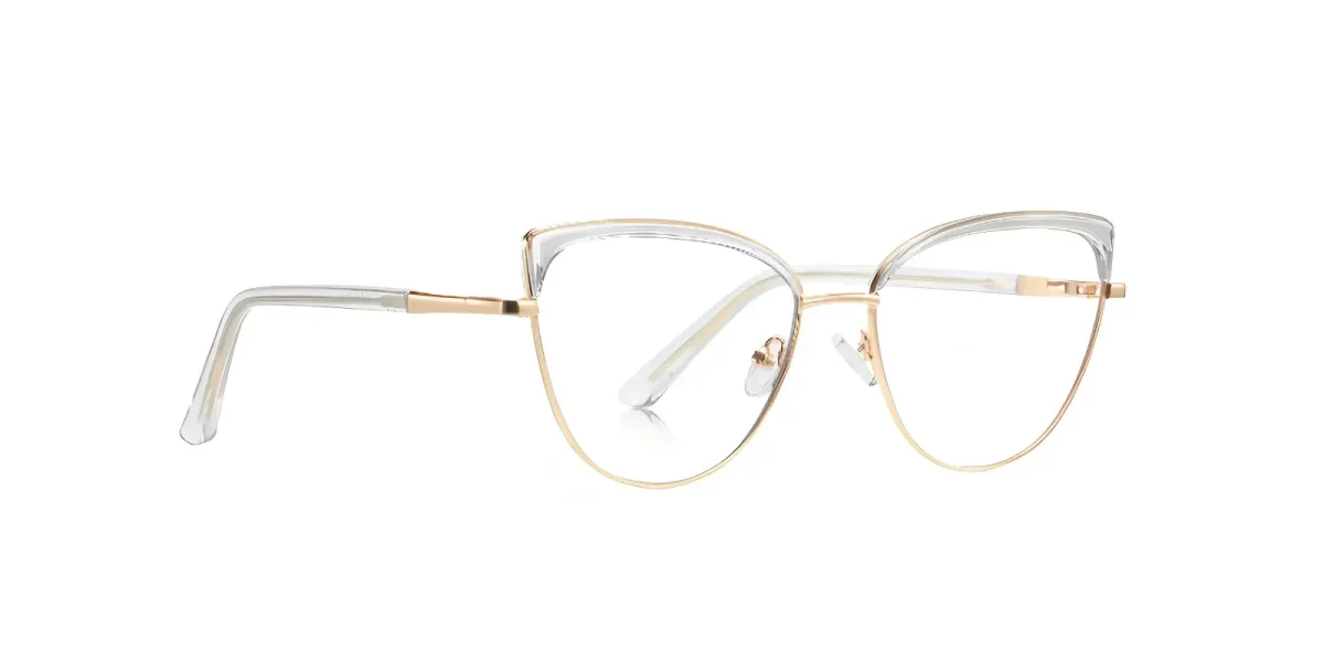 PF3117 Transparent Glasses 2