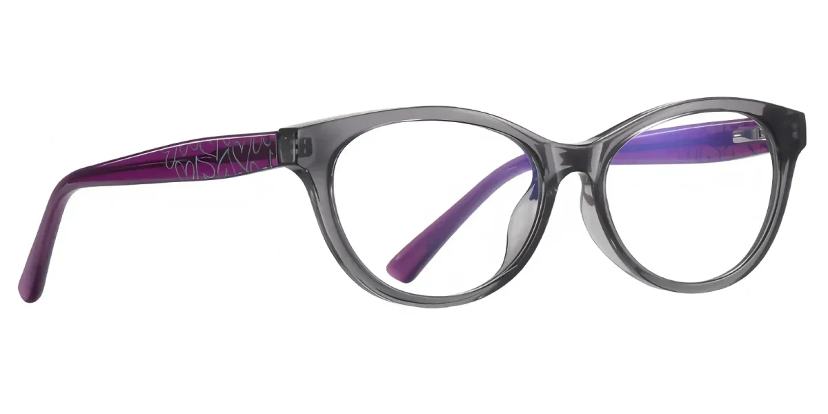 Eras Grey Glasses 2