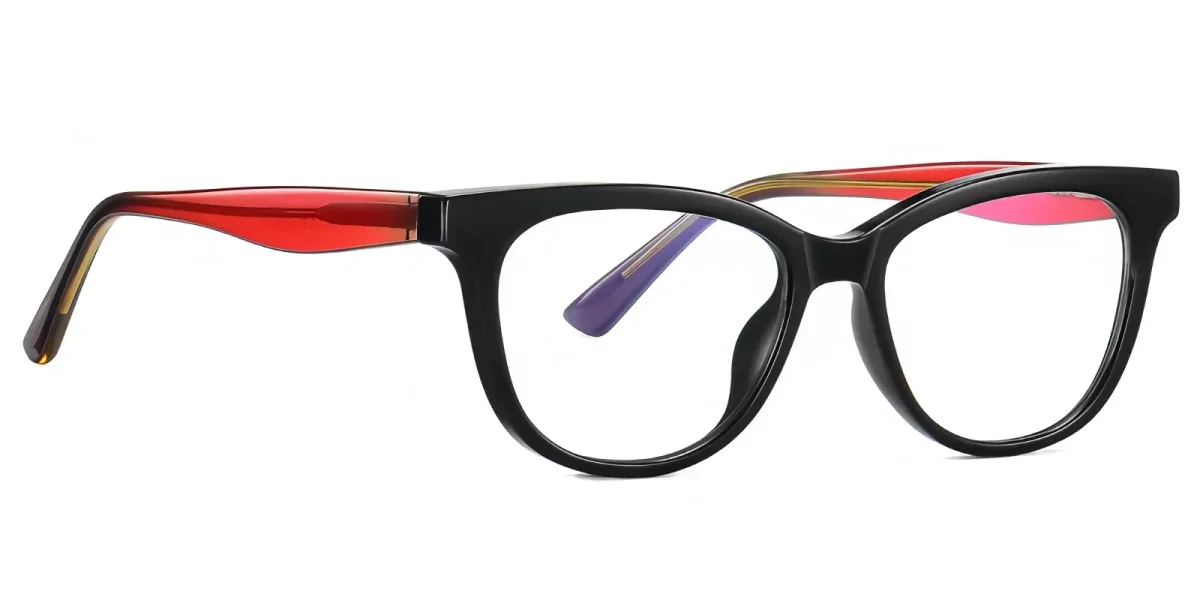 Raytina Black Glasses 2