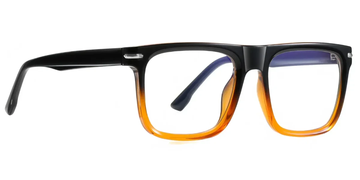 PF2202 Black-Brown Glasses 2