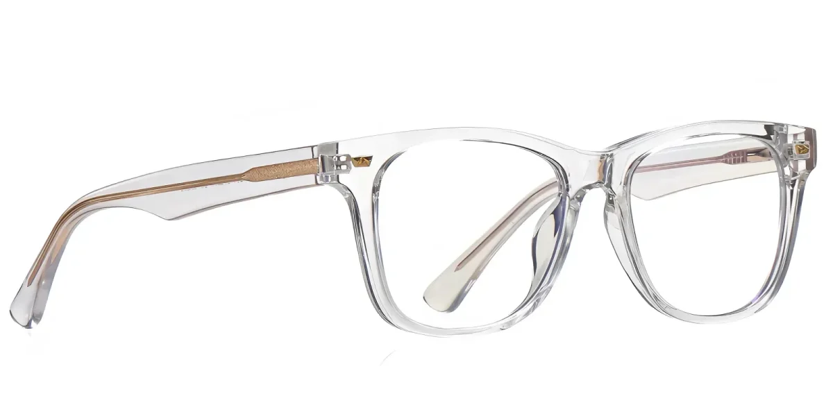 Arale Transparent Glasses 2