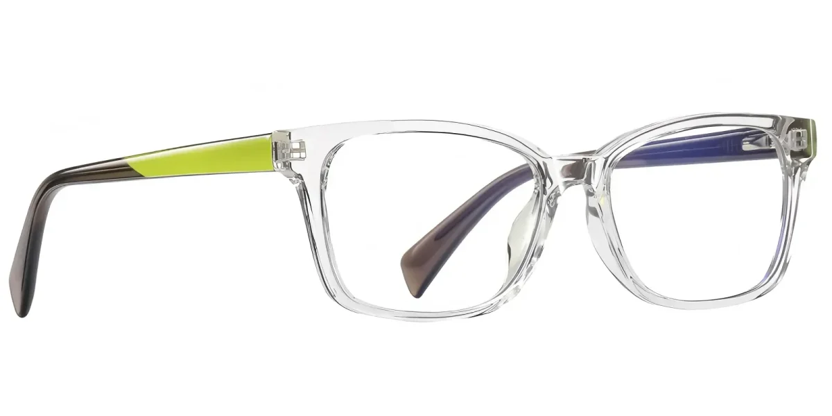Fenn Transparent Glasses 2
