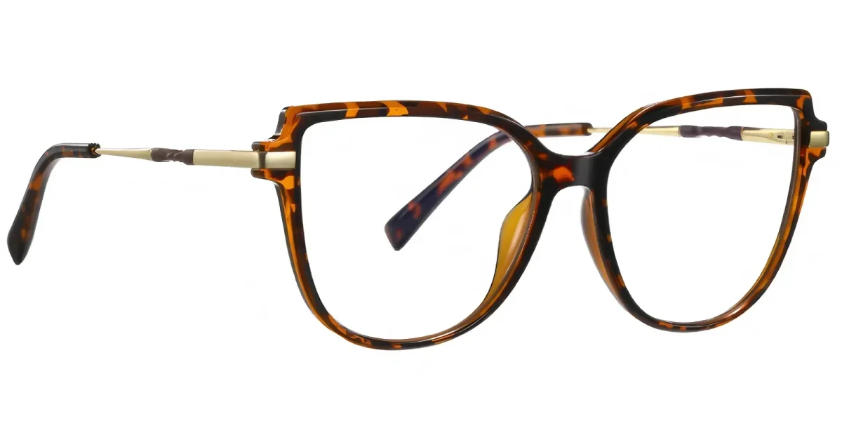 PF2210 Hawksbill Glasses 2