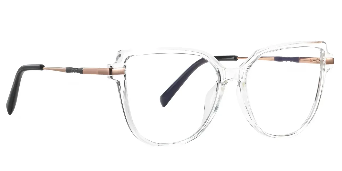 PF2210 Transparent Glasses 2