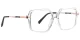 PF2214 Transparent Glasses 2