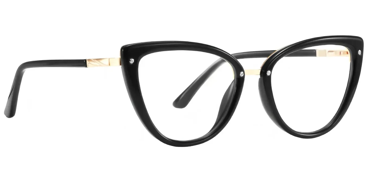 PF2221 Black Glasses 2