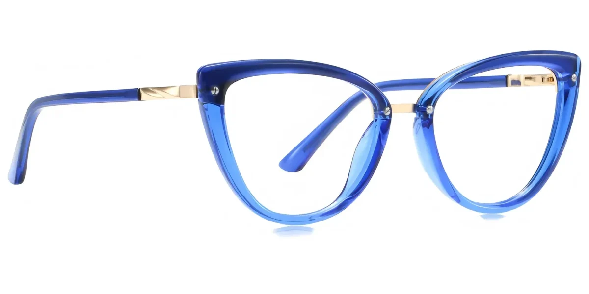 PF2221 Blue Glasses 2