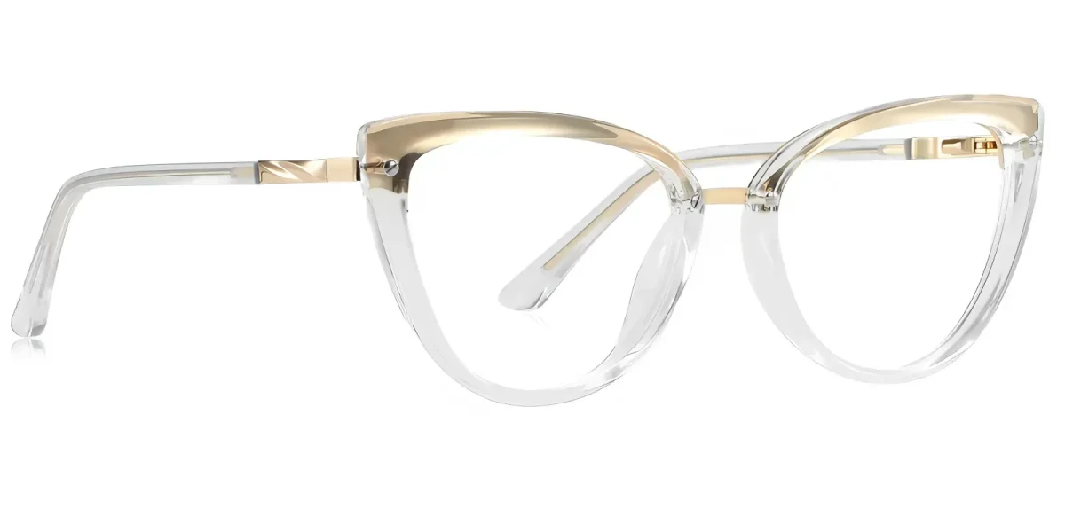 PF2221 Transparent Glasses 2