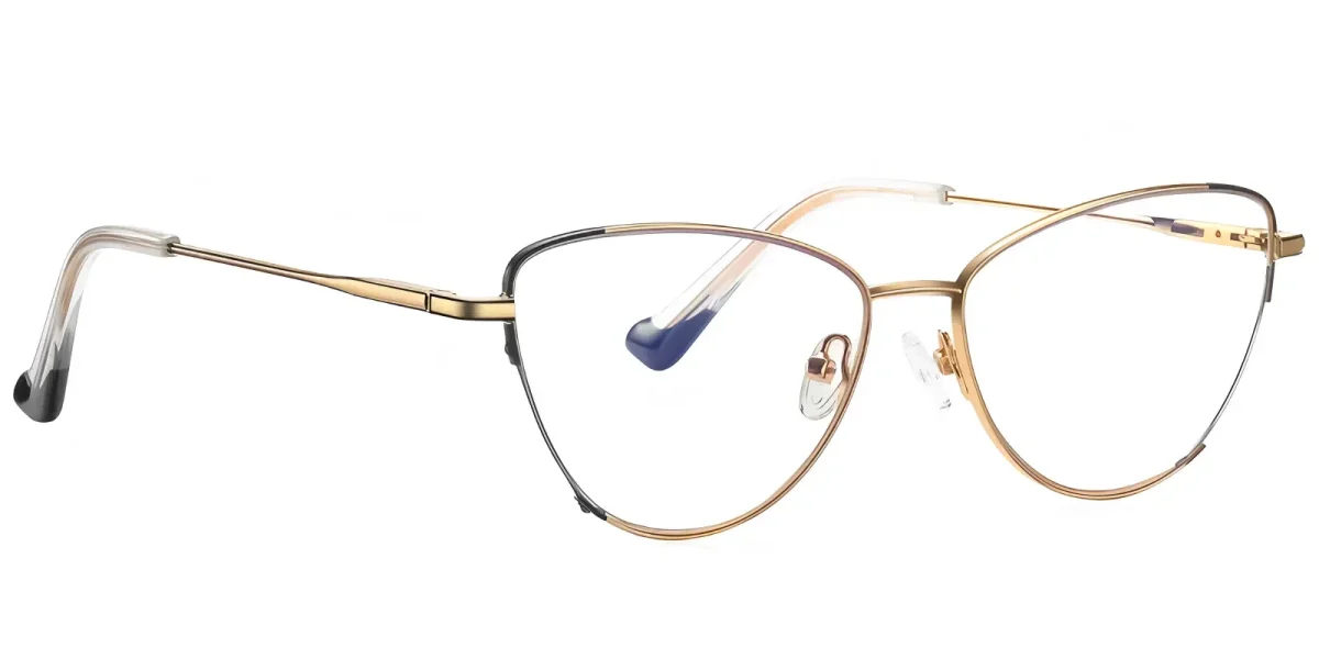 PF3030 Gold-Black Glasses 2