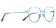 PF3034 Blue-Purple-Pink Glasses 2