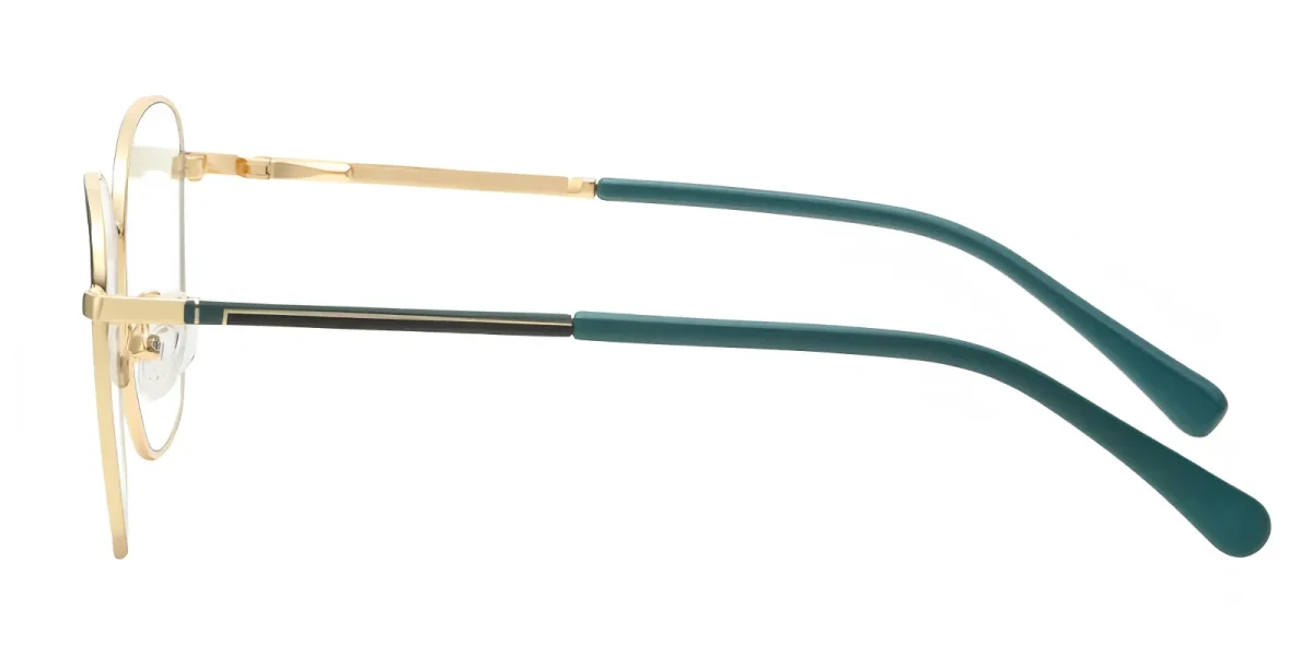 PF3055 Gold-Black Glasses 3