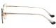 PF3030 Gold-Black Glasses 3