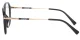 PF2213 Black-Gold Glasses 3
