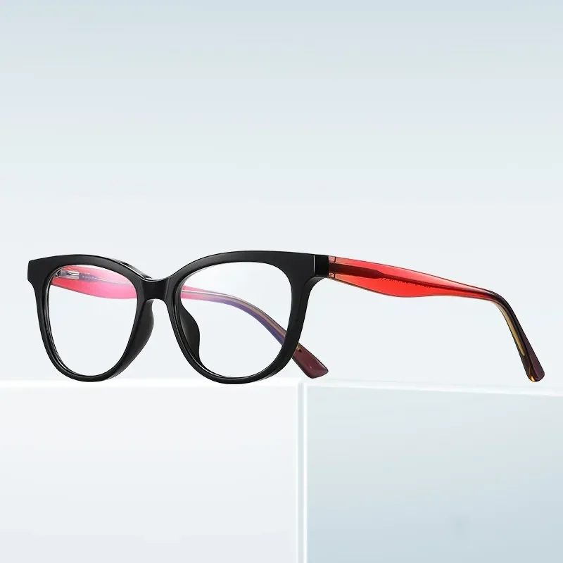 Raytina Black Glasses 5