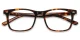 Libby Tortoise glasses