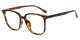 XY8050 Tortoise Glasses 1