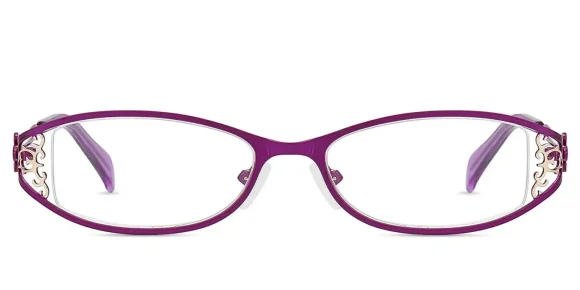 XY8020  Purple eyeglass frame