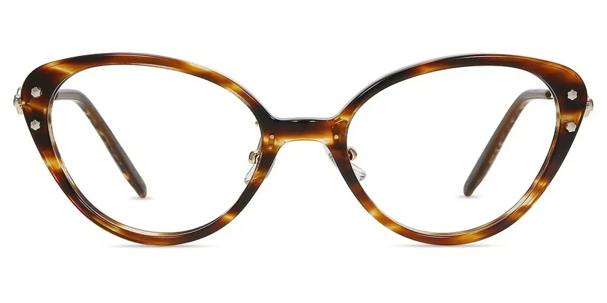 XY8037  Tortoise Glasses 2
