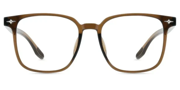 XY8041  Clear, Brown eyeglass frame