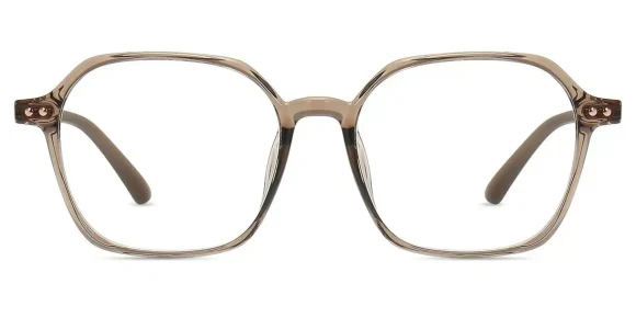XY8042 Brown eyeglass frame