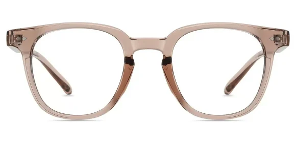 XY8048  Brown eyeglass frame