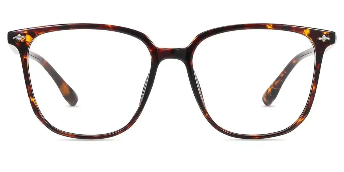 XY8050 Tortoise Glasses 2