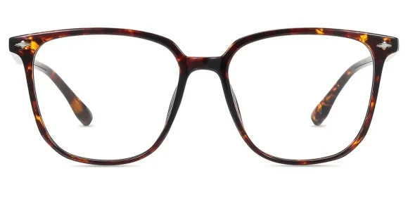 XY8050 Tortoise eyeglass frame