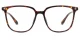 XY8050 Tortoise Glasses 2