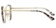 XY8024  Gold, Pattern Glasses 3