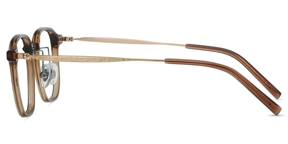 XY8036 Brown, Clear Glasses 3