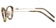 XY8037  Tortoise Glasses 3