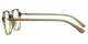 XY8042 Green, Clear Glasses 3