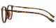 XY8047 Tortoise Glasses 3